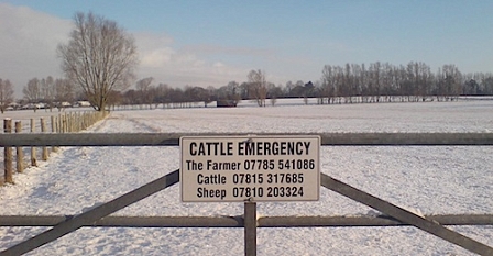 © Robert Rotifer Schild: Cattle Emergency
The Farmer: Telefonnummer
Cattle: Telefonnummer
Sheep: Telefonnummer